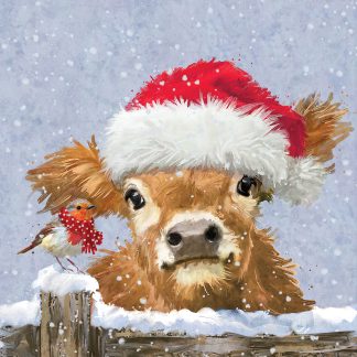 Festive Friends at Christmas christmas cards