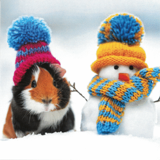 Snowman and Squeaks Christmas Card