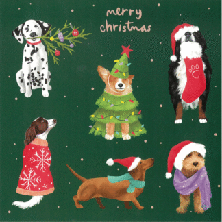 Ready for Christmas Christmas Card